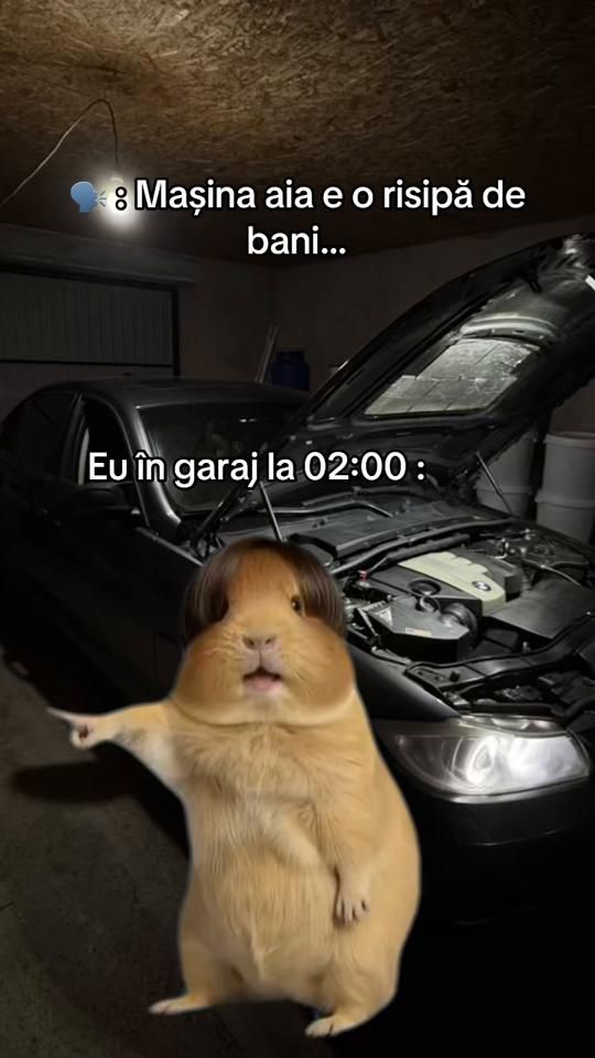 TikTok video thumbnail by ket_denis_