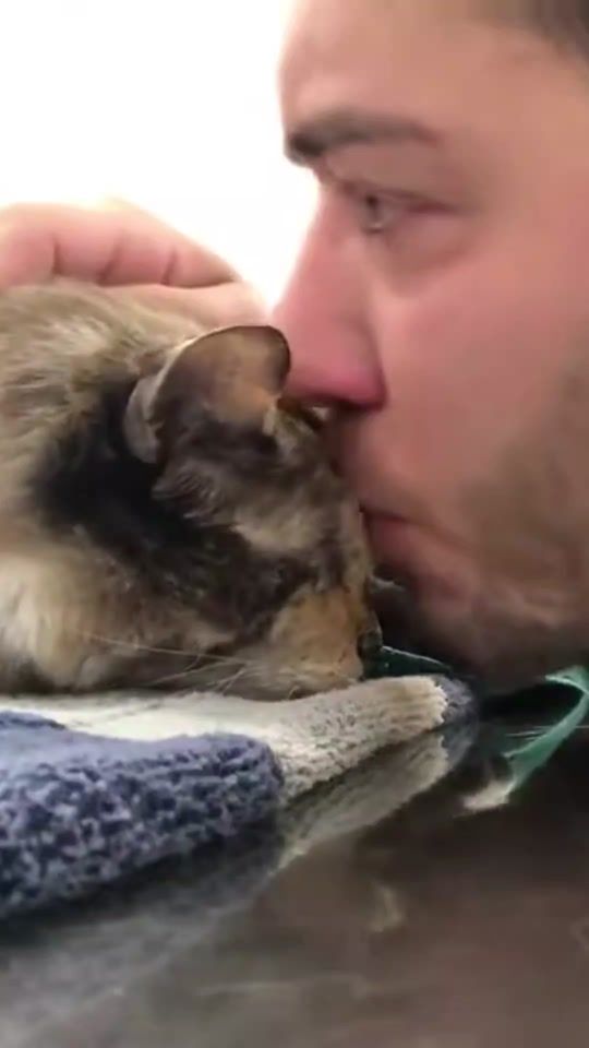 TikTok video thumbnail by cats_trainer