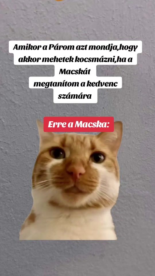 TikTok video thumbnail by gulacsiandras