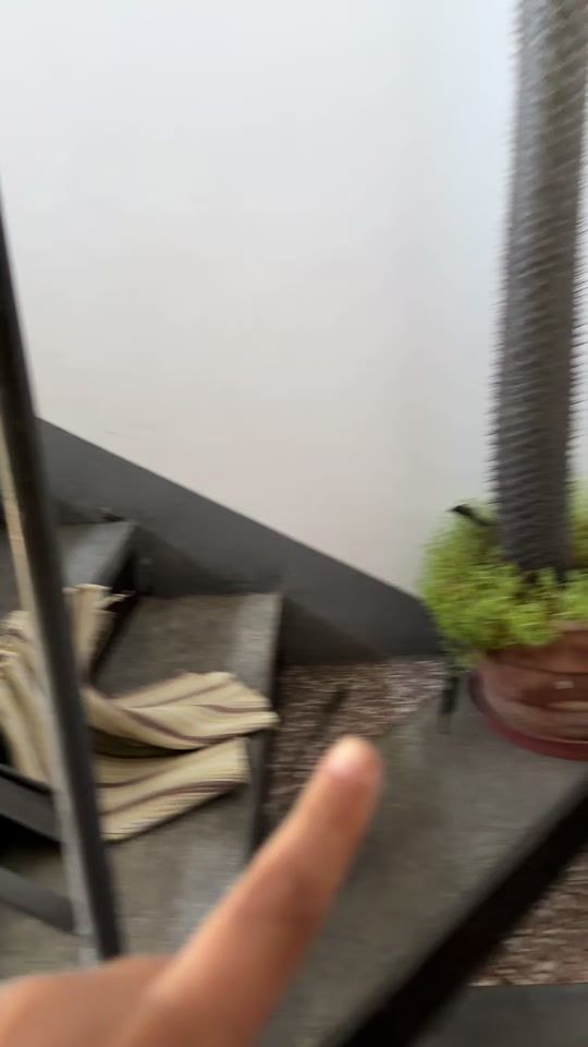 TikTok video thumbnail by lisasanimals