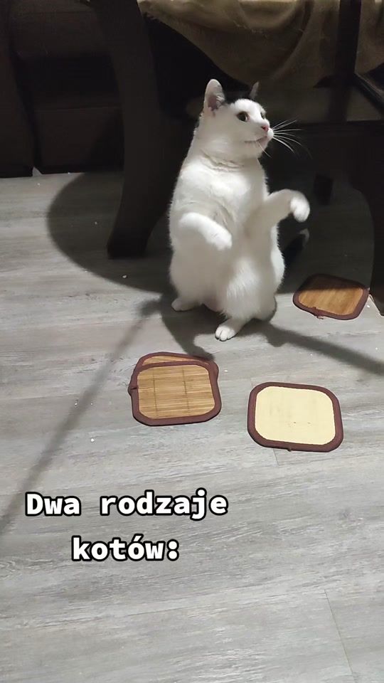 TikTok video thumbnail by strasznagadula