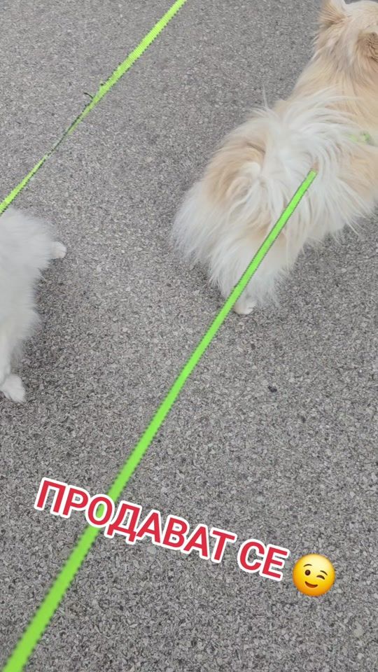 TikTok video thumbnail by tvoite_1001_stoki