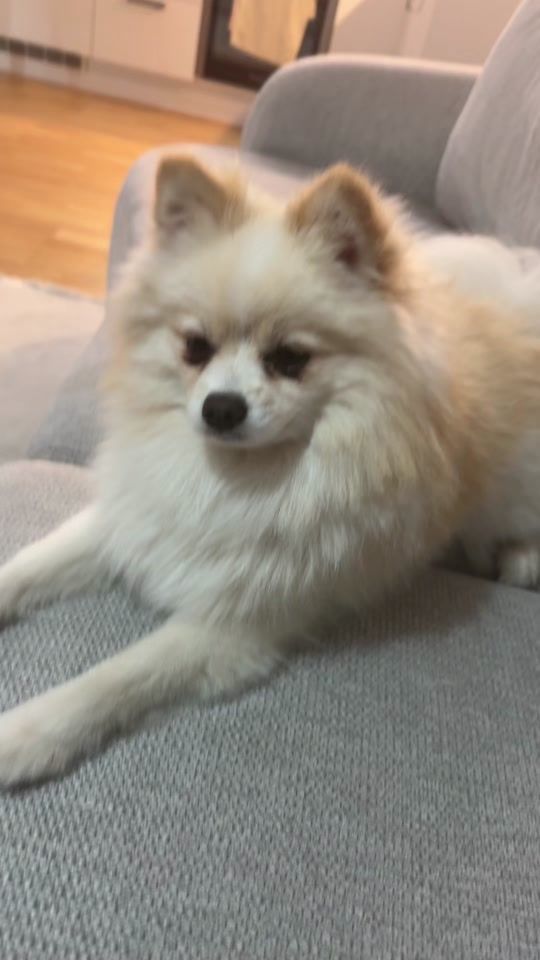 TikTok video thumbnail by karabela190372
