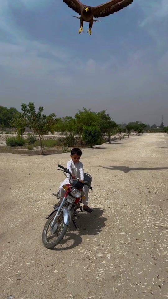 TikTok video thumbnail by z.a.technical