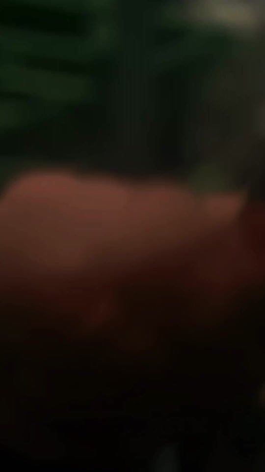 TikTok video thumbnail by oflyricx