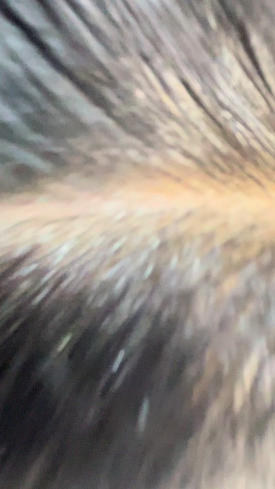 TikTok video thumbnail by chalhoubcoiff