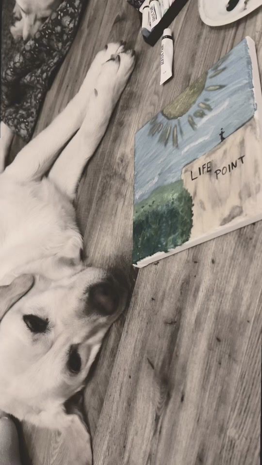 TikTok video thumbnail by labragolden.life