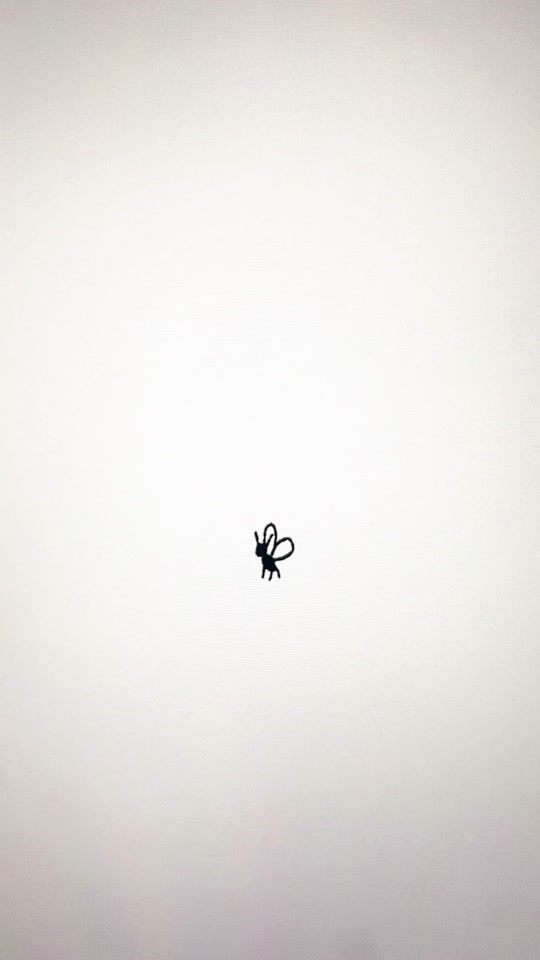 TikTok video thumbnail by eupholie_