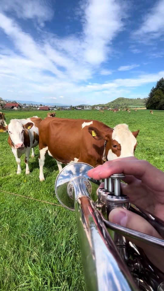 TikTok video thumbnail by tomokitrumpet