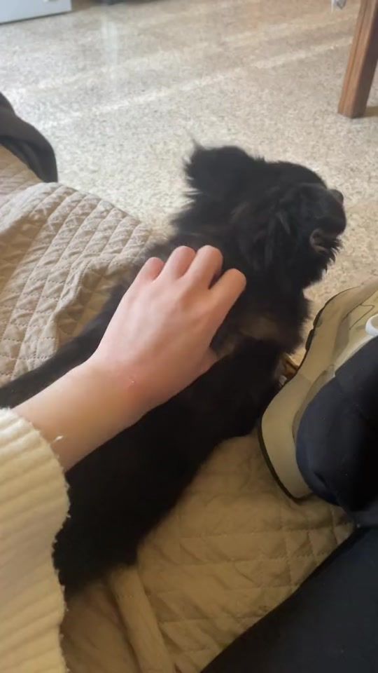 TikTok video thumbnail by .bwnia