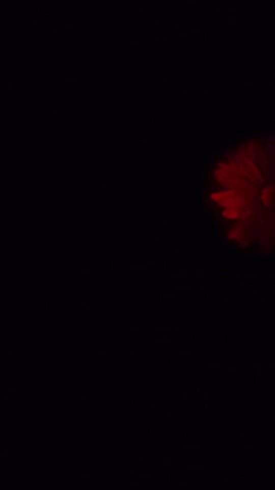 TikTok video thumbnail by rss.roby
