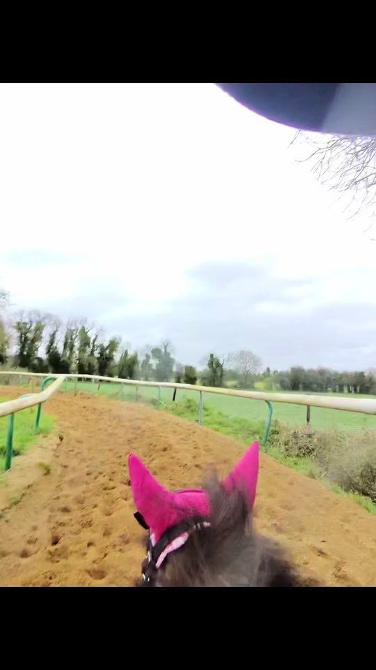TikTok video thumbnail by amyparsons111