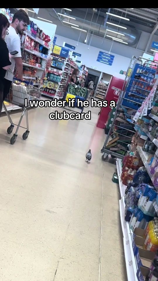 TikTok video thumbnail by libinglavidaloca