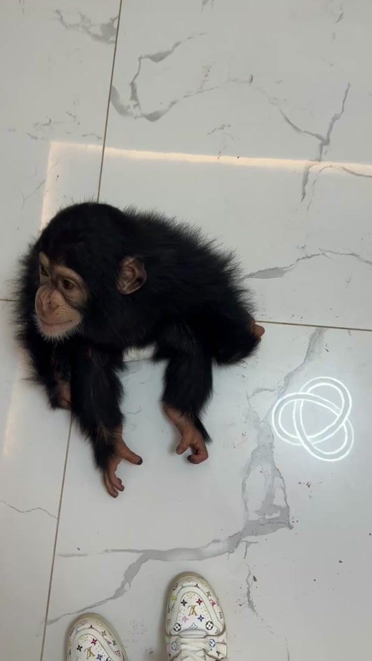 TikTok video thumbnail by larisa.ebervein