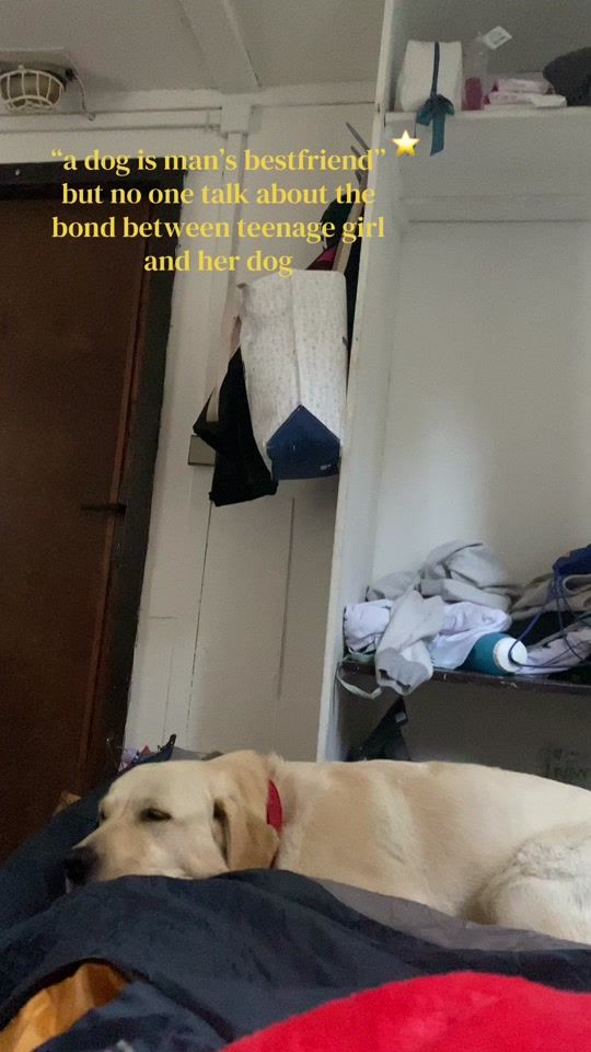 TikTok video thumbnail by labragolden.life