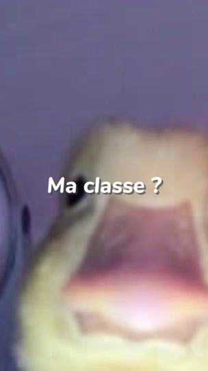 TikTok video thumbnail by fameuhrose