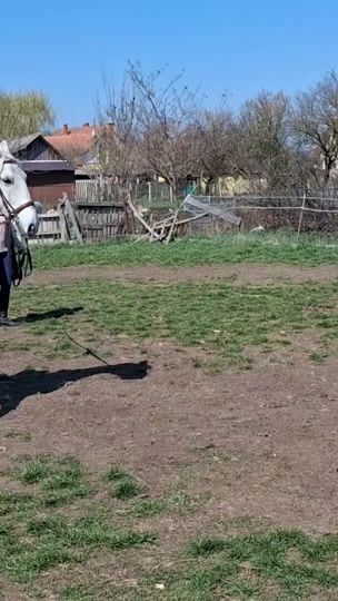 TikTok video thumbnail by kupecstefan