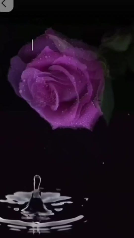TikTok video thumbnail by hadica196