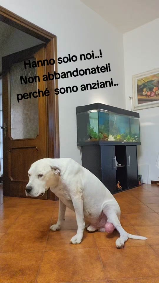 TikTok video thumbnail by silvanapaterno