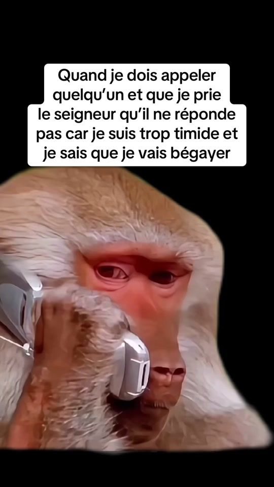 TikTok video thumbnail by studio_memes_