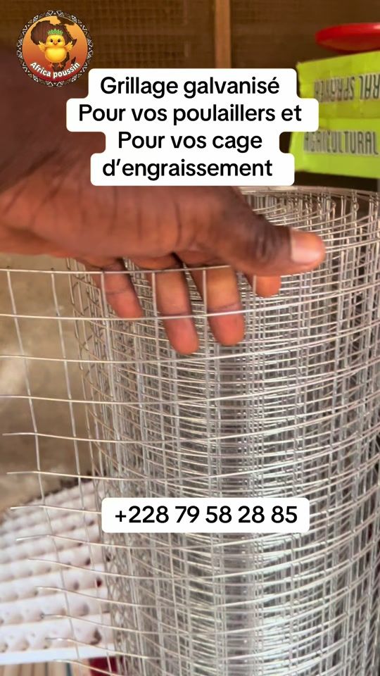 TikTok video thumbnail by papacaille