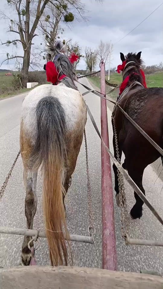 TikTok video thumbnail by rusu.ionut2003