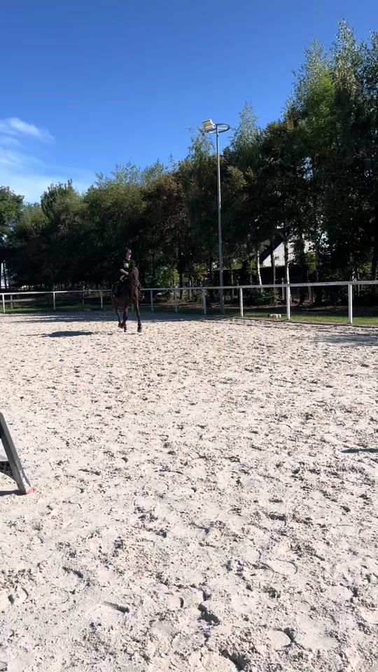 TikTok video thumbnail by jolson_eq