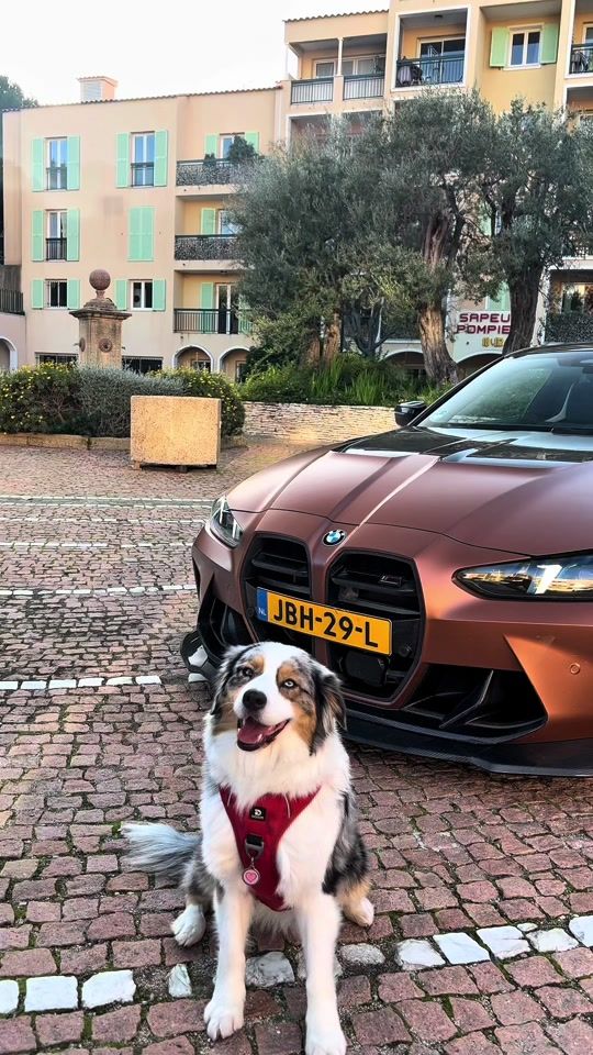 TikTok video thumbnail by tim.automotives