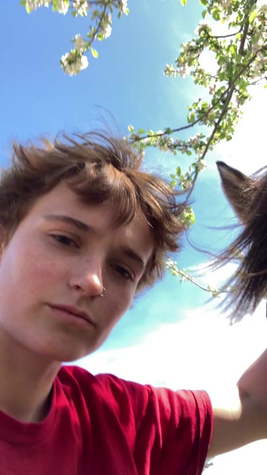 TikTok video thumbnail by koylos