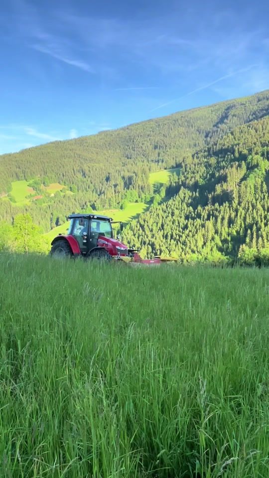 TikTok video thumbnail by julian_fuchs7