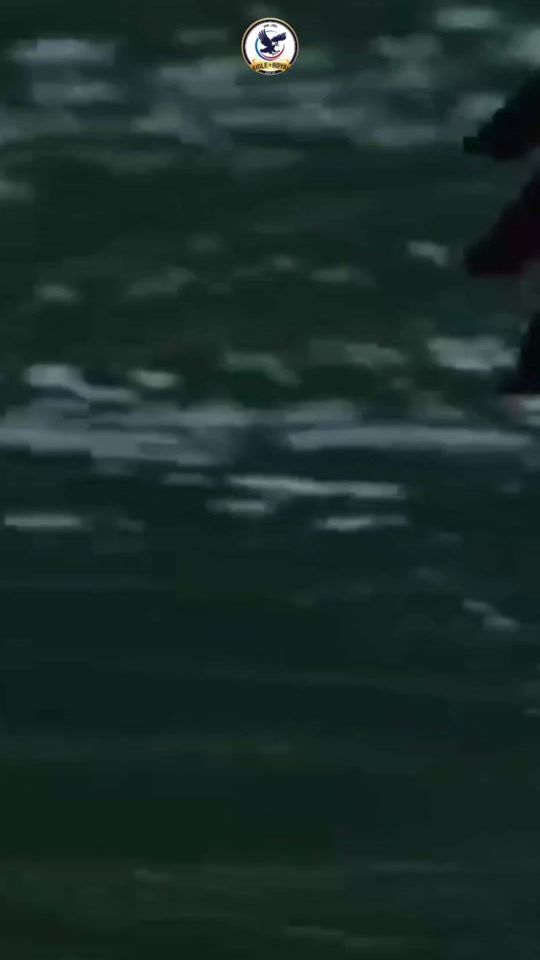 TikTok video thumbnail by aigle.royalee