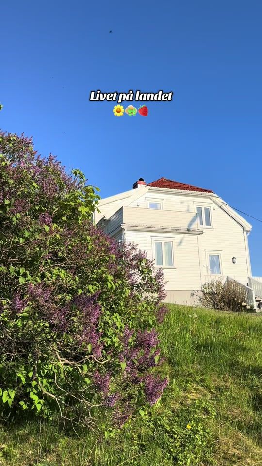 TikTok video thumbnail by hogtun_