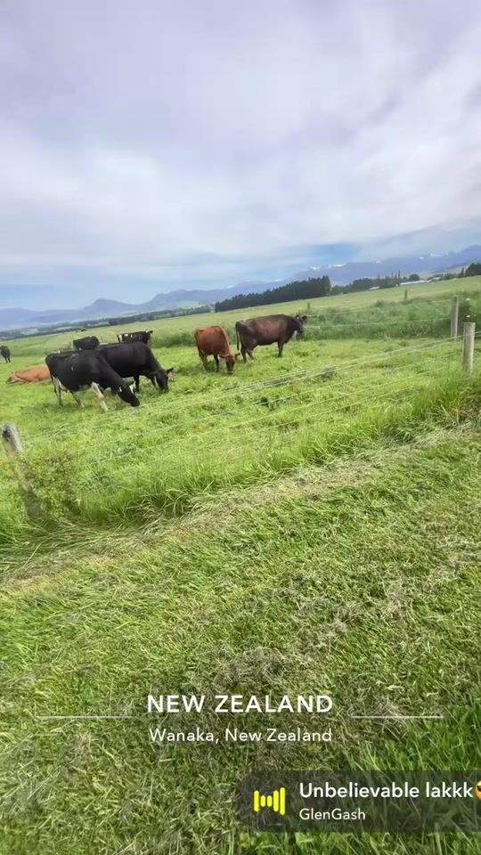 TikTok video thumbnail by thomas_agri16