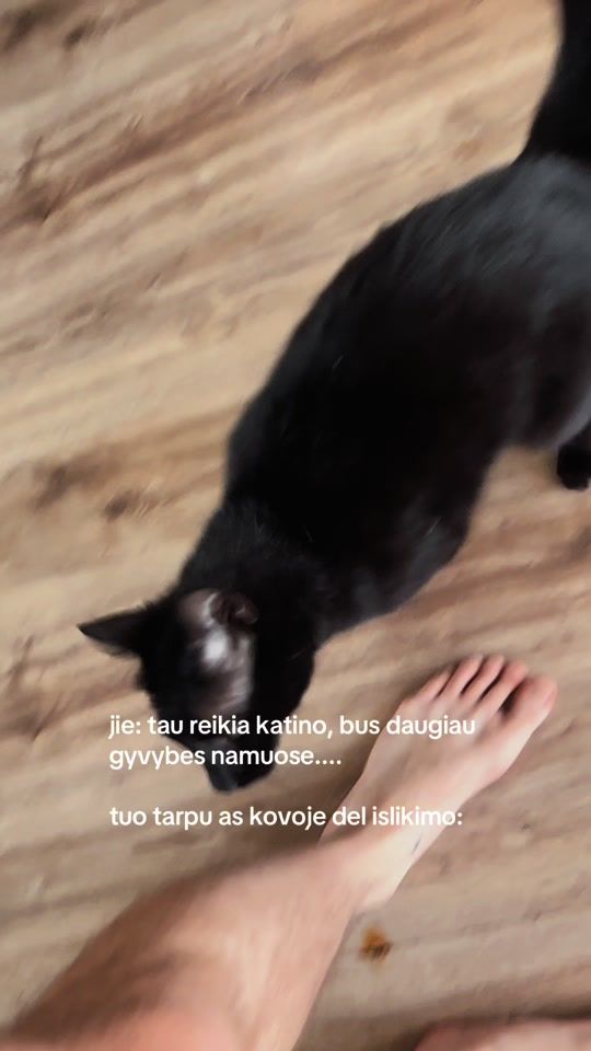 TikTok video thumbnail by edasvieta