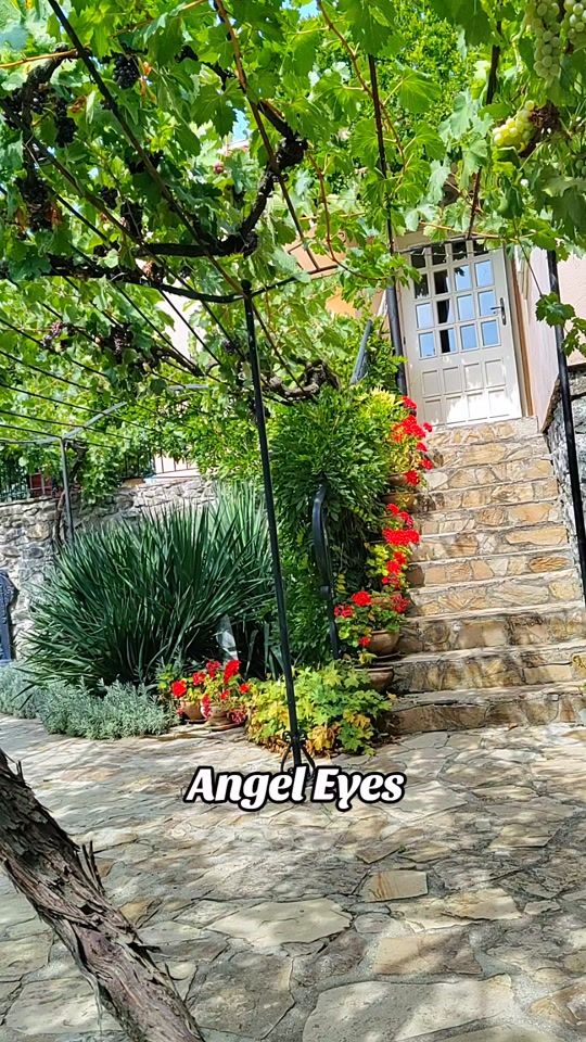 TikTok video thumbnail by angel.eyes8499