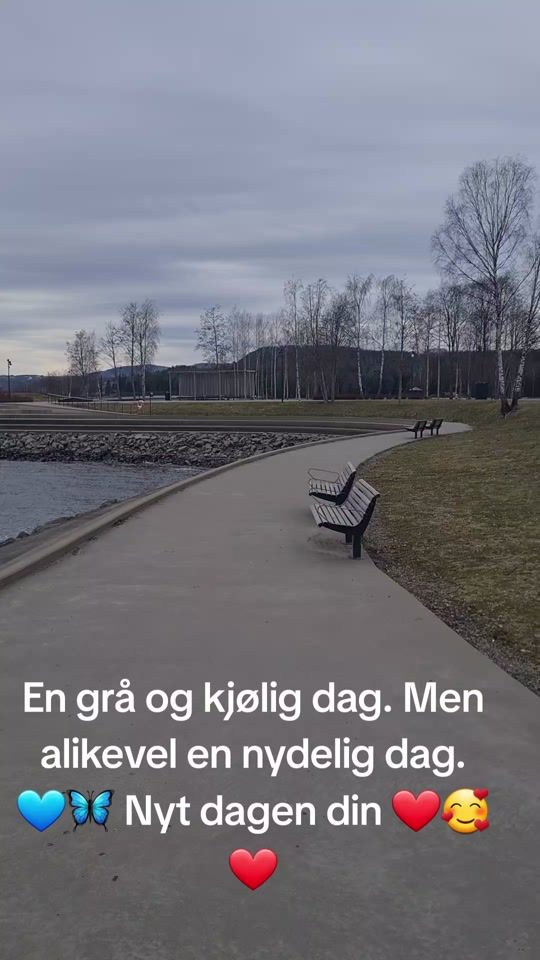 TikTok video thumbnail by skogsteollet