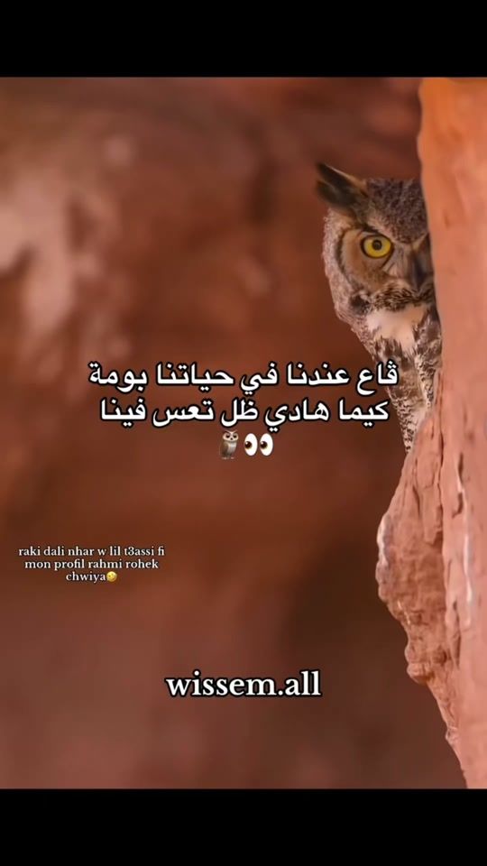 TikTok video thumbnail by .plus2308