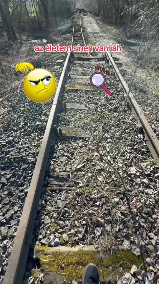 TikTok video thumbnail by p.testore1234