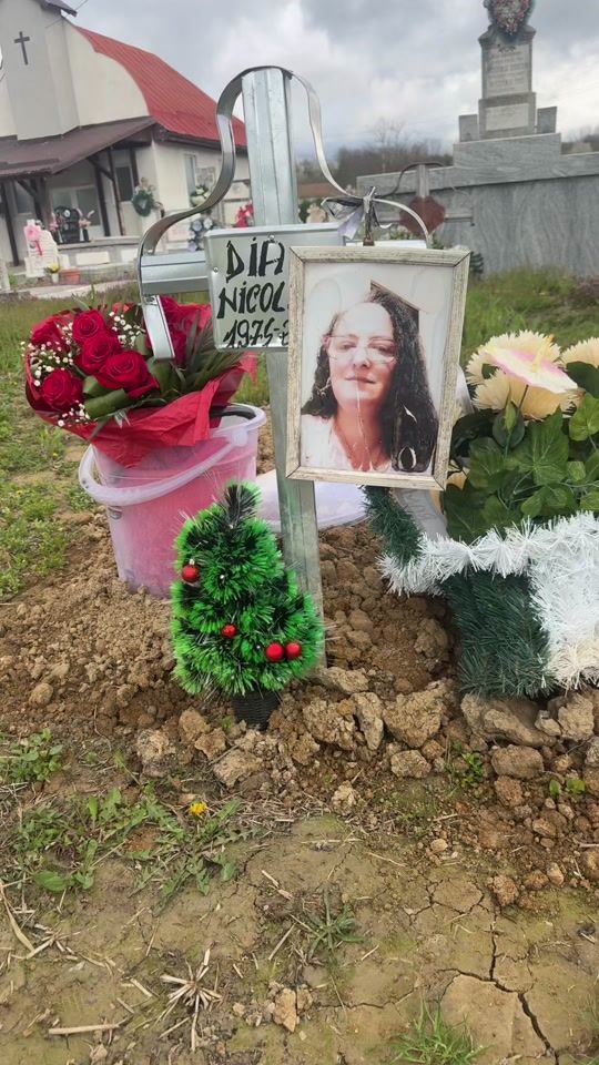 TikTok video thumbnail by elvisvoda