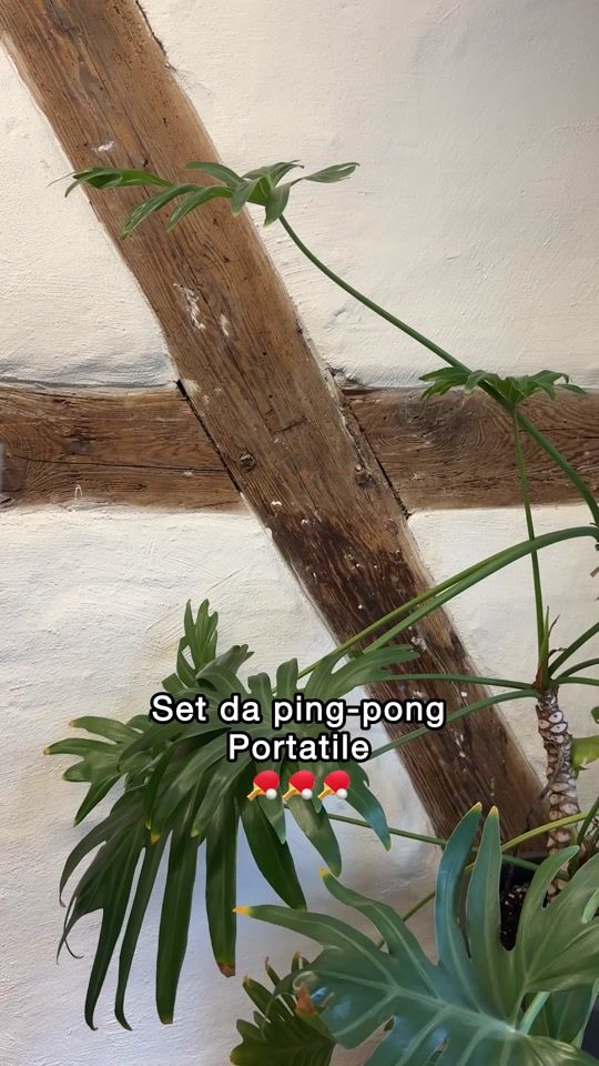 TikTok video thumbnail by flyingtigeritaly