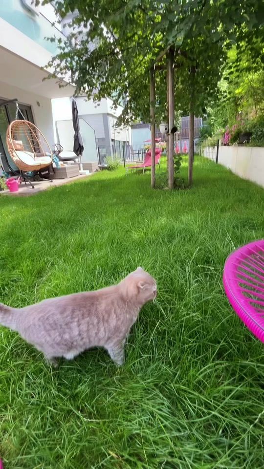 TikTok video thumbnail by pinkispretty33