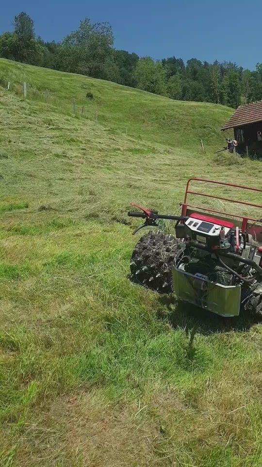 TikTok video thumbnail by fabian_epp09