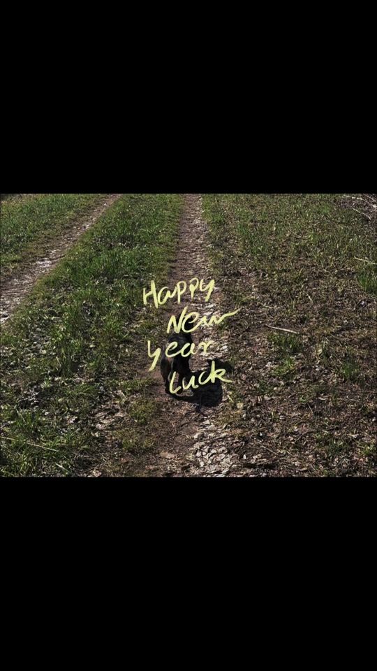 TikTok video thumbnail by springmann.evi