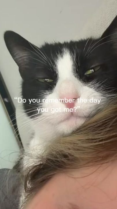 TikTok video thumbnail by ali._.sme