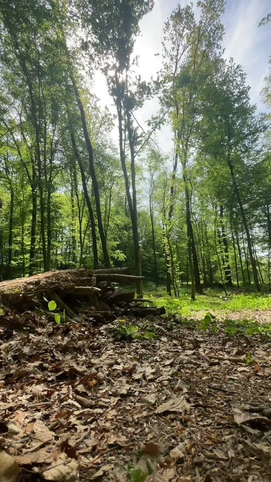 TikTok video thumbnail by globoko.mtb