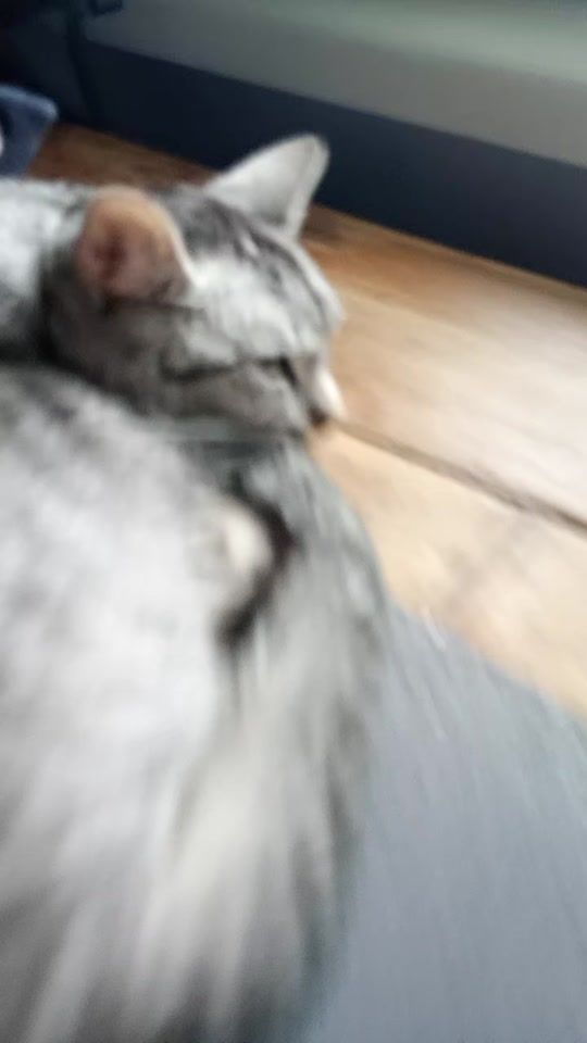 TikTok video thumbnail by oli03186