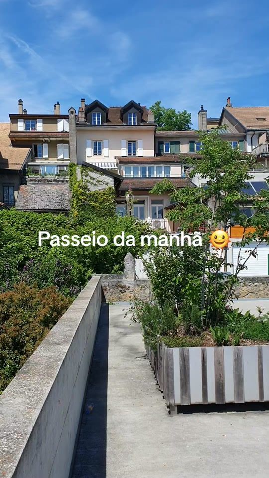 TikTok video thumbnail by soniamadeirense