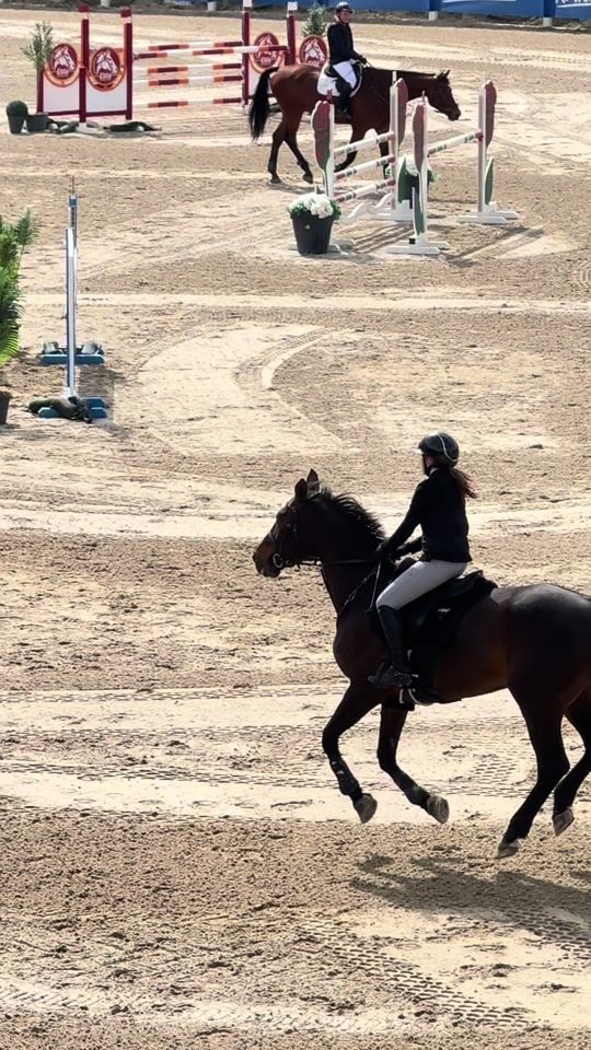 TikTok video thumbnail by stella_showjumping_