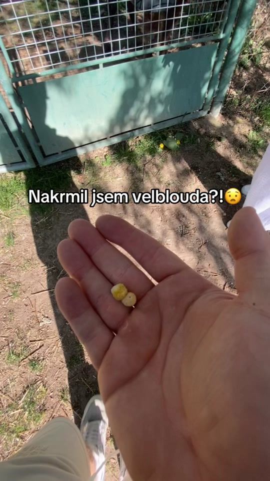 TikTok video thumbnail by _samzz6