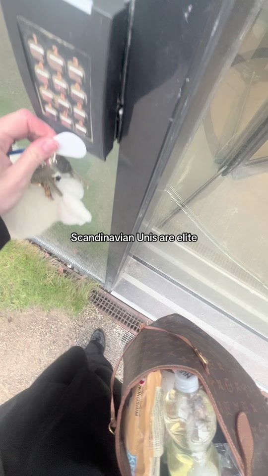 TikTok video thumbnail by lunavindiing